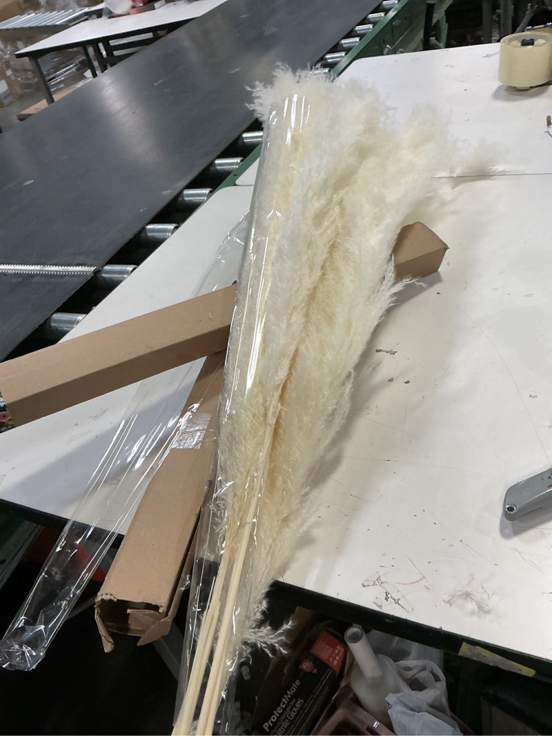 Condition photo showing Good Condition for 10 Stems 46" inch White Pampas Grass Decor Tall, Large Pompas Grass, Boho Neutral Home Decor Bouquet, Fluffy Pampass Grass for Floor Vase Wedding Floral Arrangements Wall Farmhouse Table Decor 10PCS 46inch White