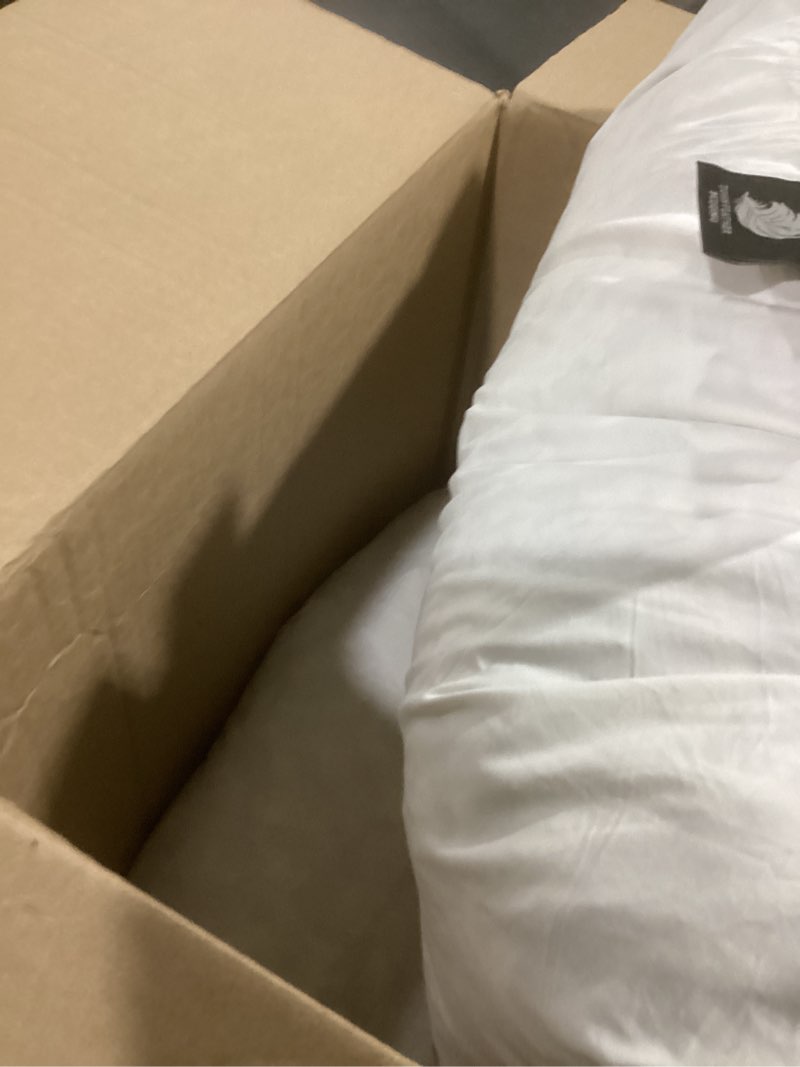 Condition photo showing New/Like New for feathers down pillow inserts 26x26, set of 2, euro pillow insert with 100% organic cotton shell, soft decorative throw pillow for living room, sofa, couch, or bed (white) 26x26(pack of 2) white(pack of 2)