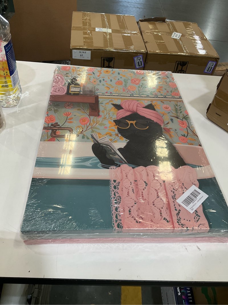 3pcs funny cat wall art