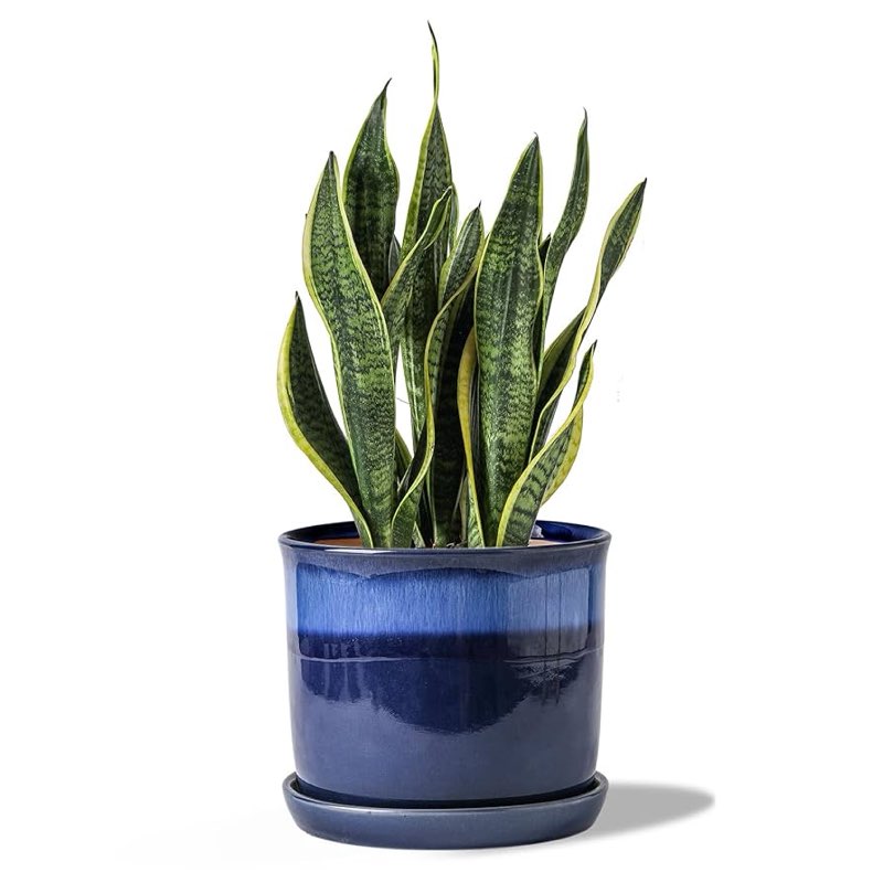 8 Inch Plant Pot: Ceramic Planter with Drainage Hole & Saucer - Cylinder Flowerpot for Indoor & Outdoor Plants - with Separate Tray for Home & Office - Striped Design (Incomplete)