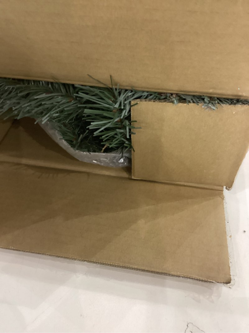 Condition photo showing Good Condition for National Tree Company 'Feel Real' Pre-lit Artificial Christmas Mail Box Swag | battery-operated White LED Lights | Frosted Artic Spruce - 36 Inch 3-Inch Green