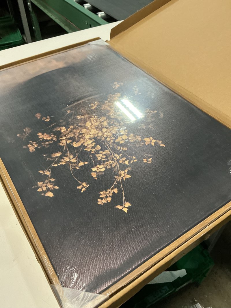 Condition photo showing New/Like New for zzlwbkgl vintage dried floral framed wall art dark moody botanical canvas wall art cottage core pictures wall decor rustic still life art prints for living room bedroom study dried flowers framed 24"l x 16"w