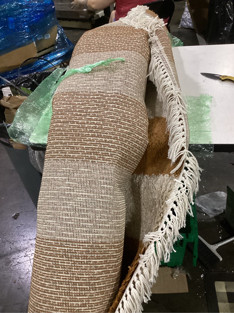 Condition photo showing Good Condition for lennox persian medallion tassel olive area rug, featuring a textured beige and brown weave with white tassel fringe detailing