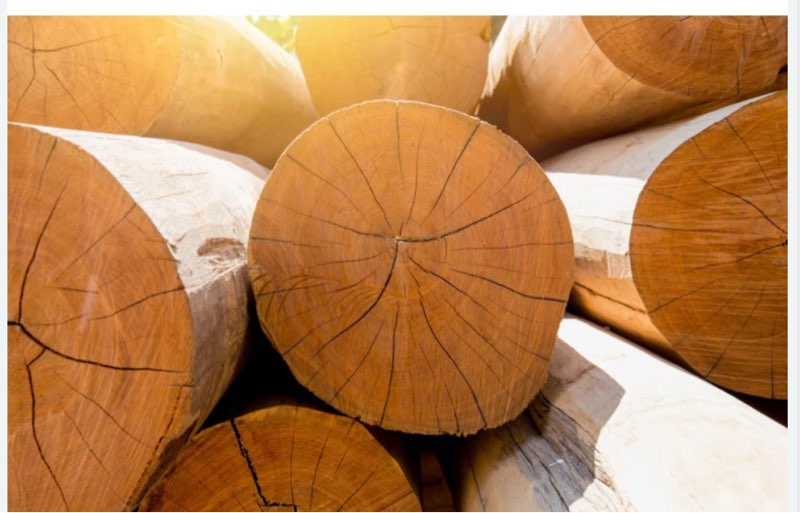 \\\" Stack Of Large Wood Log 84 x 32