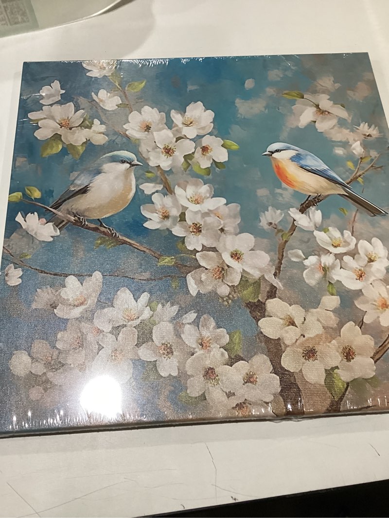 Condition photo showing New/Like New for artzgx bird canvas wall art white flower & blue birds on tree branches pictures painting living room decor framed (16.00" x 16.00") bird - b 16"l x 16"w