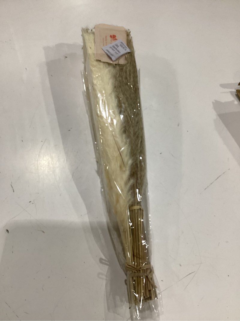 Condition photo showing New/Like New for dried pampas grass 80 pcs – 17 inches – 15 pcs white – 15 small – 30 brown reed & 20 brown, natural flowers for decoration – fluffy artificial for floral arrangement tall , boho home décor