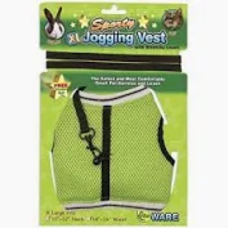 Ware Manufacturing Nylon Walk-N-Vest Pet Harness and Leash for Small Pets, Extra Large - green