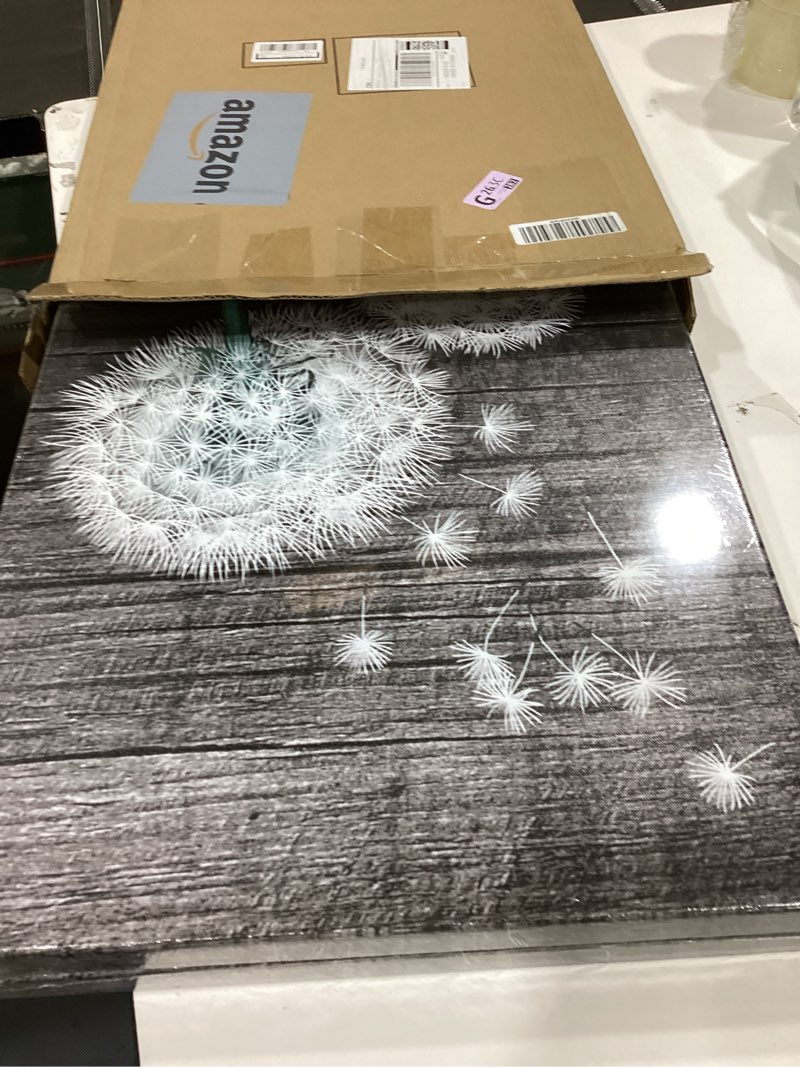 Condition photo showing Good Condition for apicoture dandelion wall art - just breathe inhale exhale wall art rustic dandelion pictures canvas prints painting wall decor for bathroom decoration 16"x 24"x 2 panels