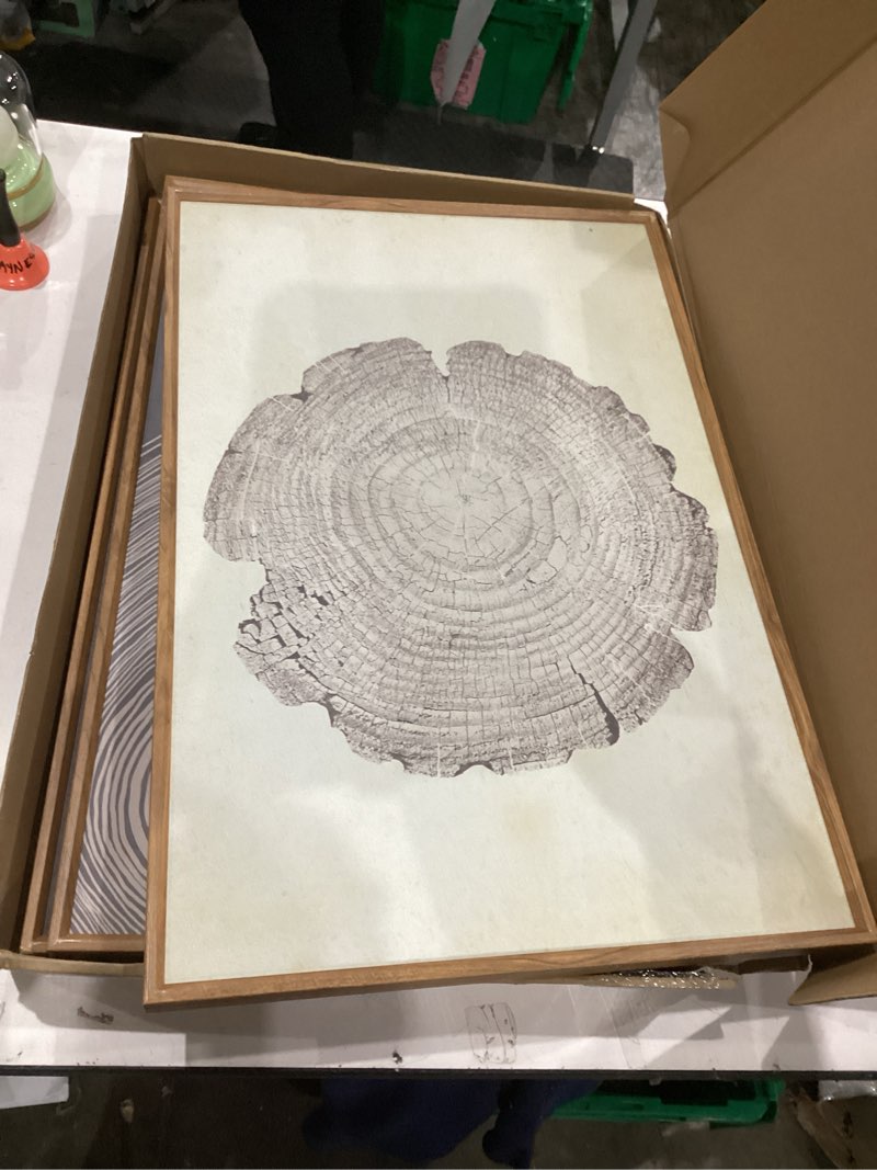 Condition photo showing Good Condition for Anyzal Framed Abstract Tree Ring Canvas Wall Art Modern Nature Wall Decor 3 Piece Neutral Grey Artwork for Living Room Bedroom Office 16 * 24 Inch/Pc