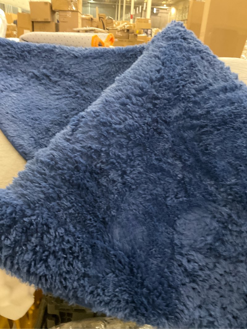Blue furry rug