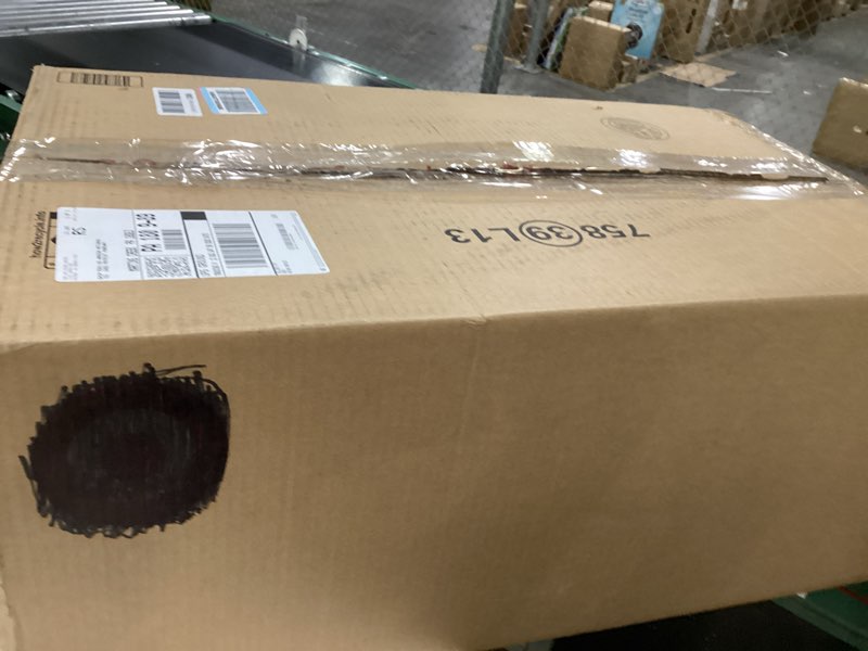 (Heavily used) (not tested) Toro 51619 Ultra Electric Blower Vac, 250 mph, Red