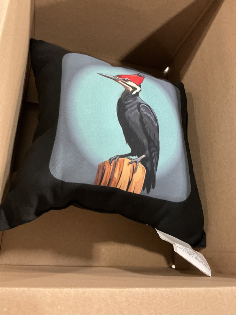 Condition photo showing Good Condition for Pileated Woodpecker Bird Design Throw Pillow 16x16