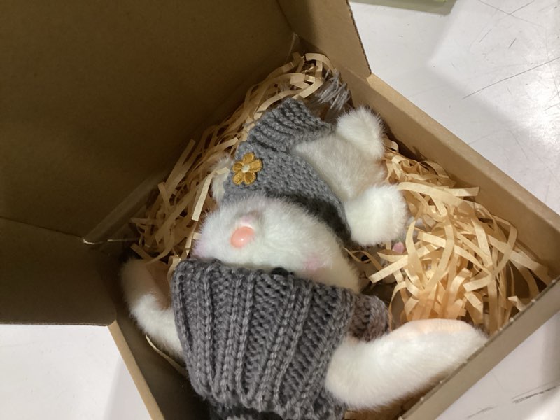 Condition photo showing Good Condition for Mini Bunny Hug Cute Easter Gift Plush 2025 Bunny in a Box Hugs Positive Bunny Stuffed Animal Rabbit Soft Floppy Easter Ideas Bunnies Basket Stuffers Doll Emotional Support Inspirational Gifts (A1)