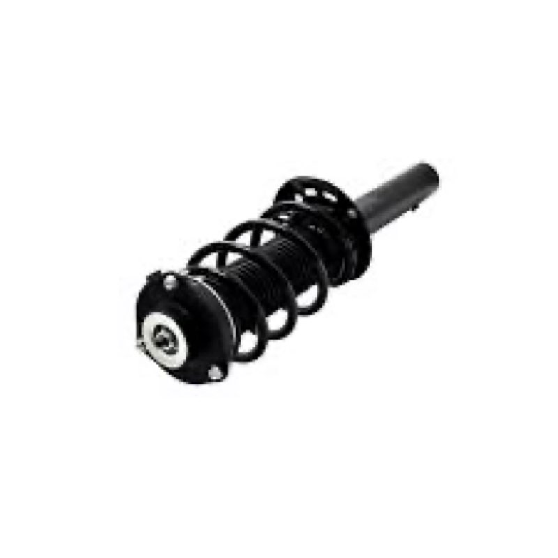 (Unknown make and model) strut assembly