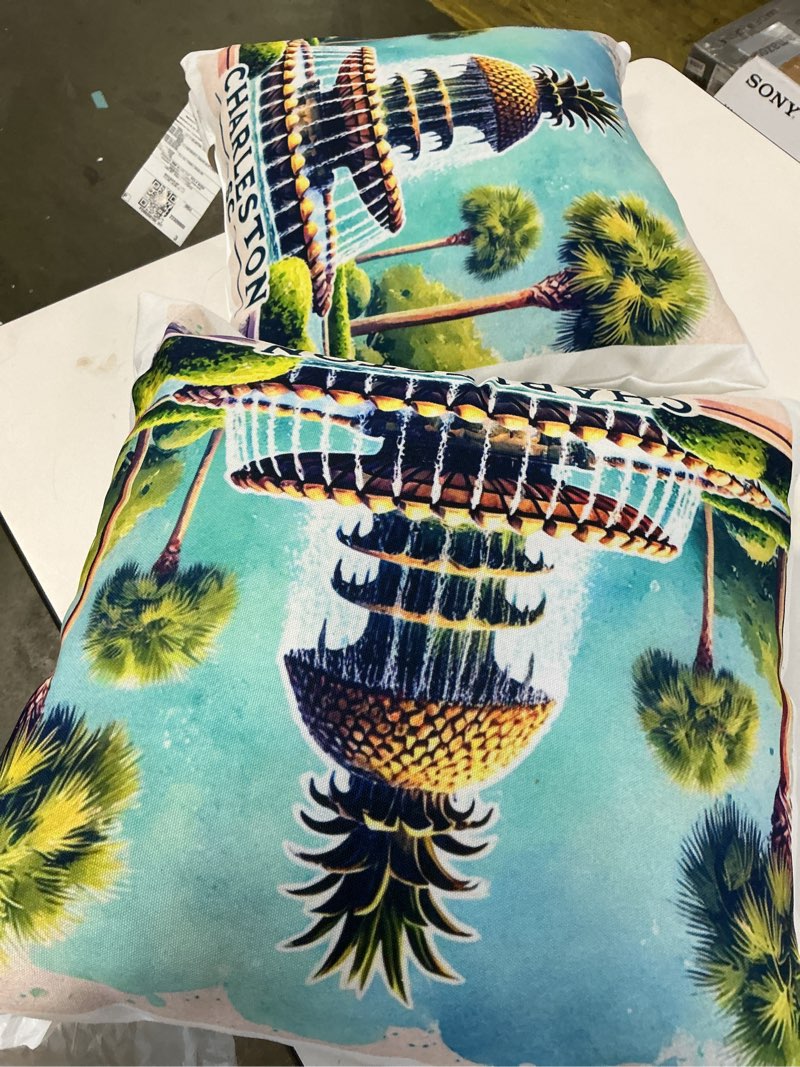 Condition photo showing Good Condition for Charleston South Carolina Palmetto State Pineapple Fountain Throw Pillow 16x16(2 pcs of similar)