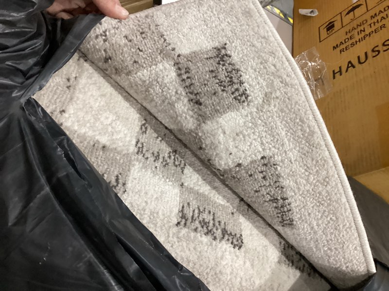 Jasha Checkered Beige/Brown Area Rug