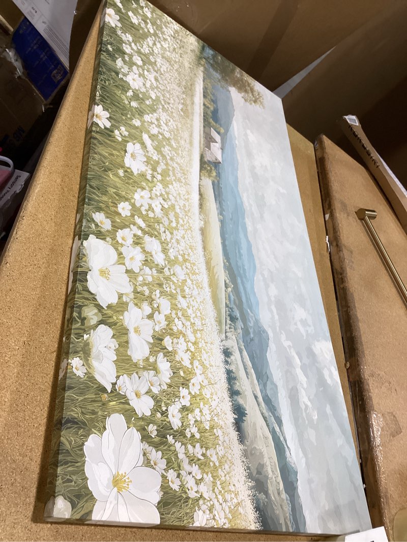 Condition photo showing As Is for canvas wall art decor wall art pictures for living room canvas art wall decor green white nature wall art prints artwork for walls vintage landscape wall art decorations home office decor 20\" x 40\" mh-01x wrapped canvas 24\"l x 48\"w