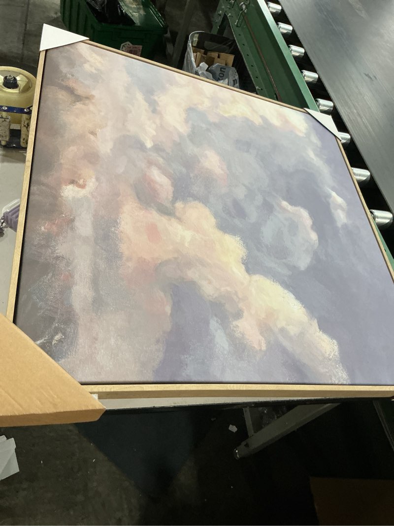 Condition photo showing Good Condition for 30"x30" clouds framed canvas - threshold™ designed with studio mcgee