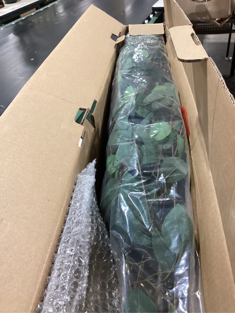 Condition photo showing Good Condition for hairui artificial ficus silk tree lights 6ft 264 led fairy lights, faux plant tree with lights for home room spring summer christmas decoration indoor 6ft ficus silk tree