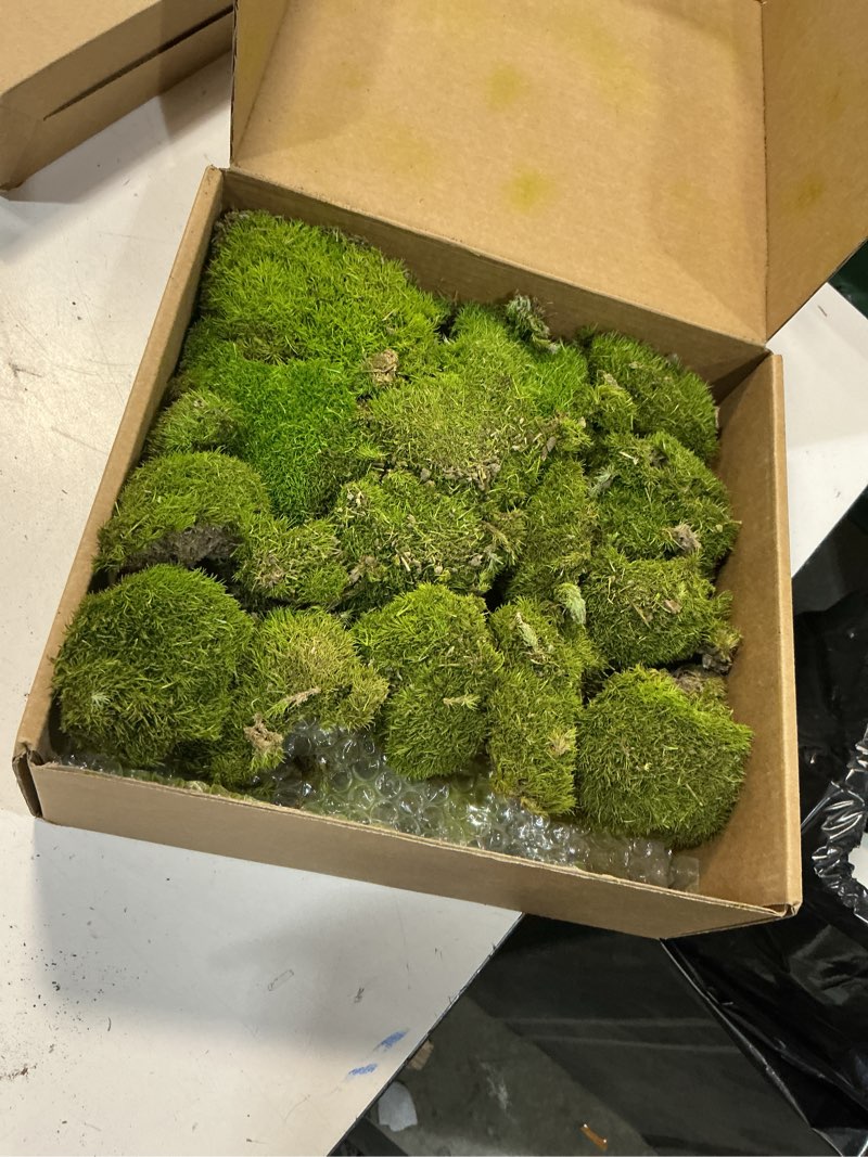 Condition photo showing Good Condition for 1.5 sq. ft. preserved moss pole decorative moss for crafts, art, wall decor,yellow green moss