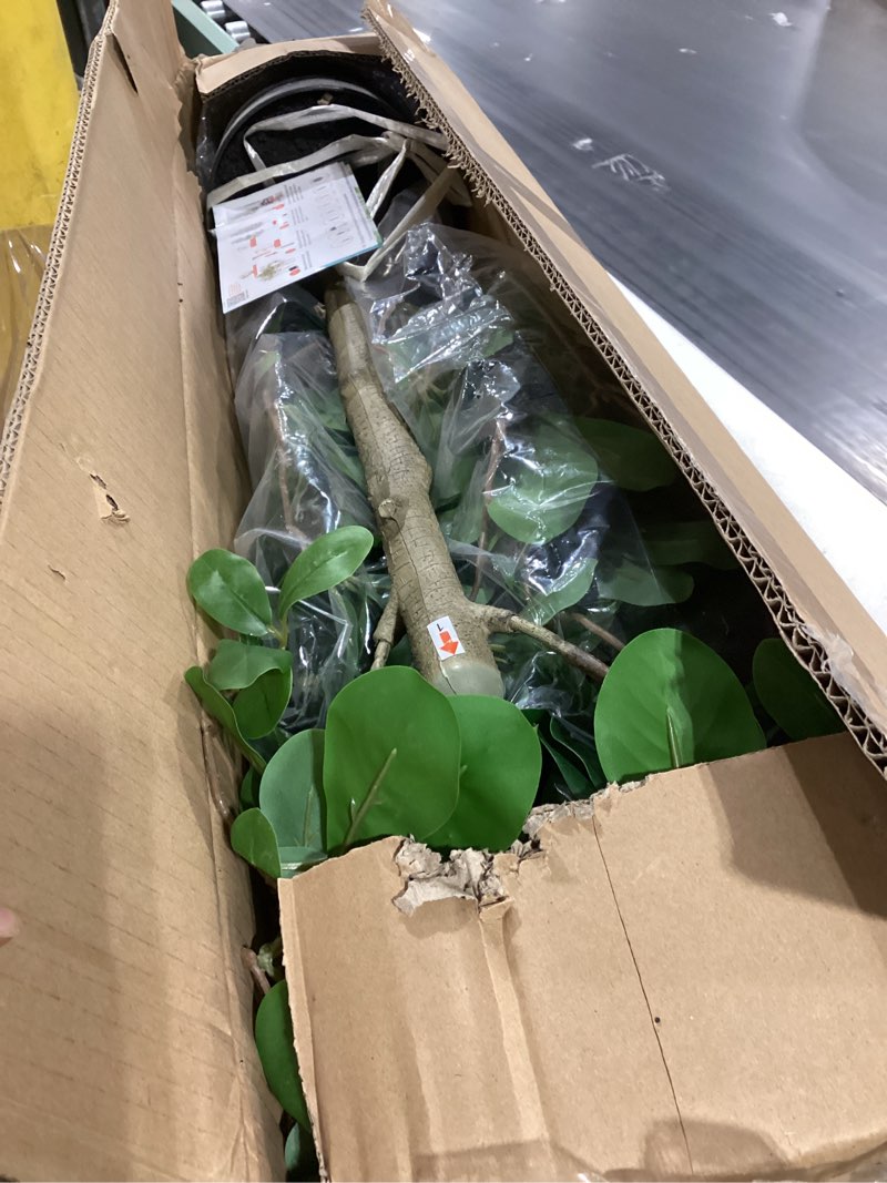 Condition photo showing As Is for Bellacat Faux Olive Tree 7ft?Olive Trees Artificial Indoor with Natural Wood Trunk and Realistic Leaves and Fruits. 7 Feet(84in) Fake Olive Tree for Home House Office Décor. 1 7ft