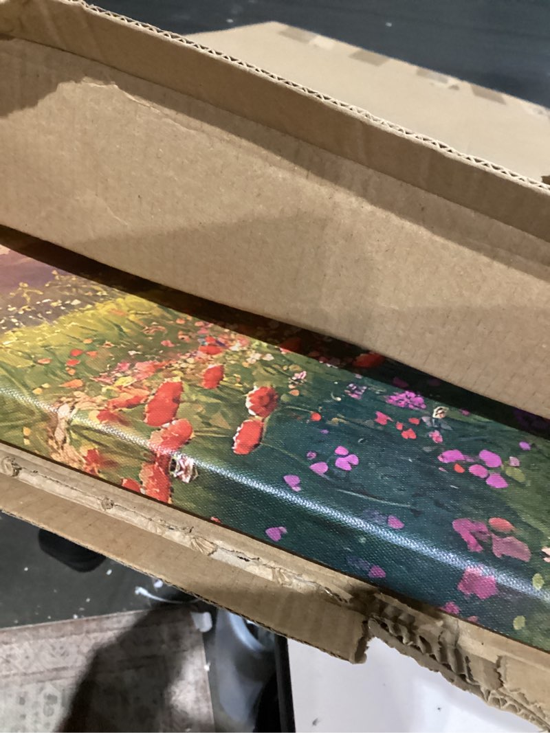 Condition photo showing Good Condition for JLXART Wall Art for Living Room Decor Mountain Sunset Landscape Canvas Wall Art with Red Poppies Prints Nature Scenery Artwork Framed Size 20 x 40 in Ready to Hang 40"L x 20"W Oranges and yellows