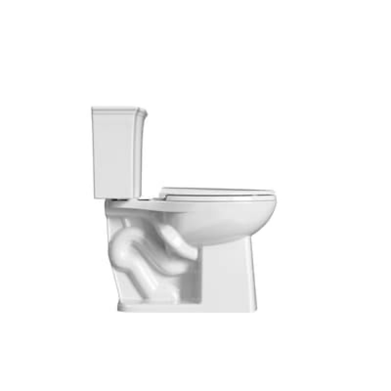 project source palazzo white elongated chair height 12-in rough-in watersense 1.6 gpf dual flush soft close 2-piece toilet