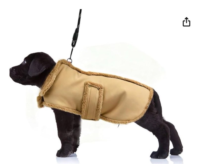 xuanqifc dog winter jacket, warm windproof dog coat sweaters for small dogs, thick apparelf fleece c