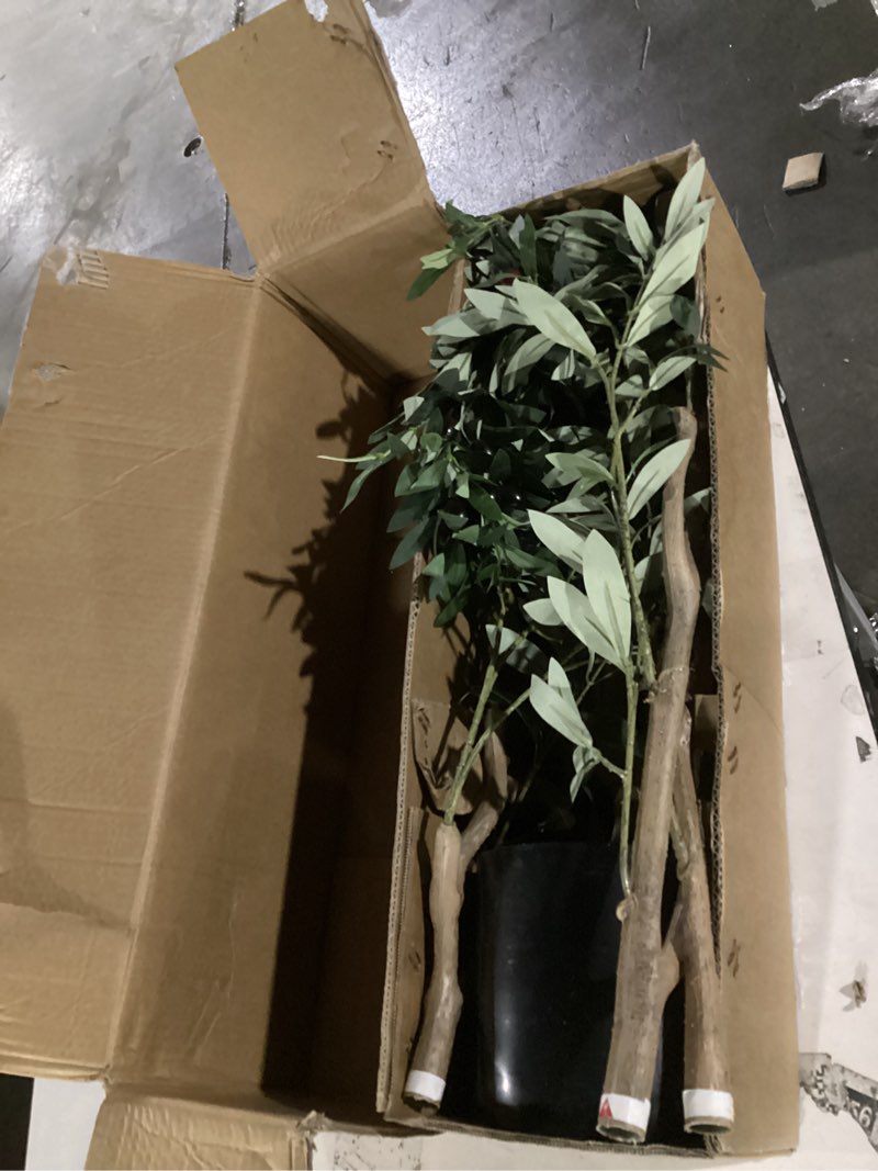 Condition photo showing Good Condition for artificial olive tree for living room decor, 6ft bendable fake plants artificial indoor, faux silk plant fake trees in potted with oliver branch leaves and fruits for modern home house office décor