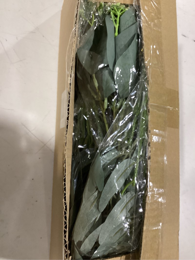 Condition photo showing Good Condition for 120 Pcs 4 Kinds Mixed Artificial Eucalyptus Leaves Stems Bulk Fake Silver Dollar Eucalyptus Bundle Faux Plants Greenery for DIY Bouquets Floral Arrangement Wedding Engagement Party Decor (Green)