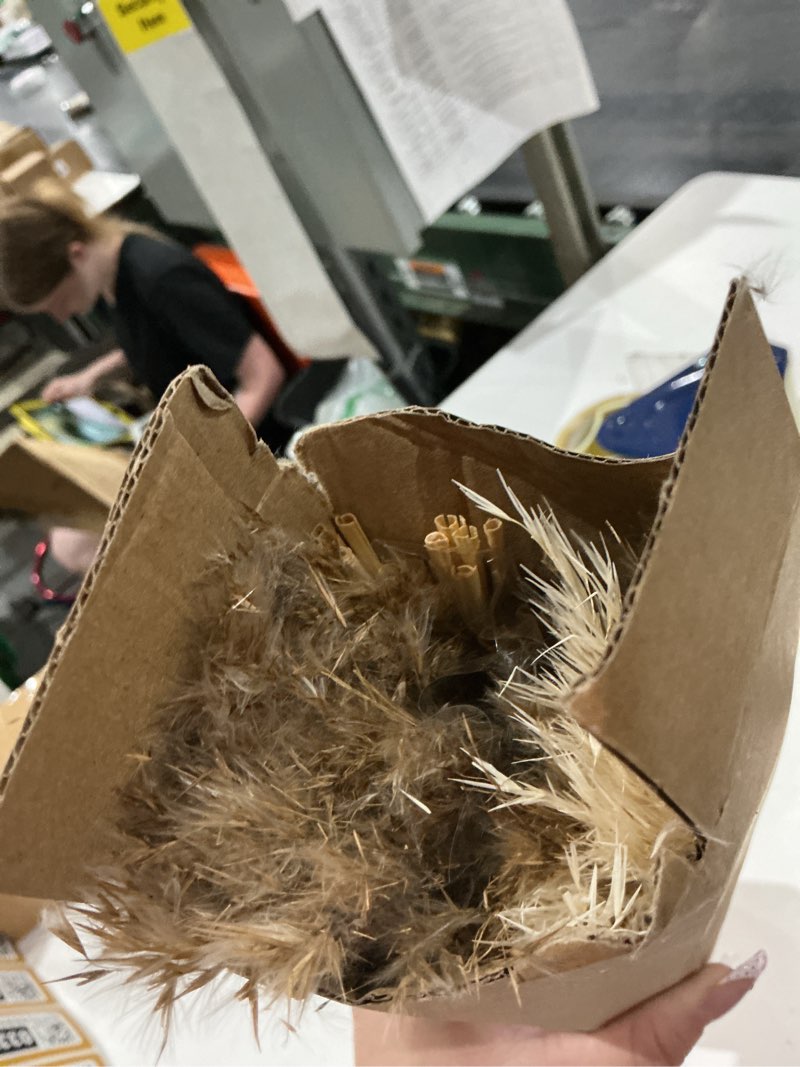 Condition photo showing Good Condition for 60 pcs boho decor, fluffy pompas grass, natural dry pampas grass small, short pampass bulk for boho room decor, coffee table decor (17 inch ) 60pcs