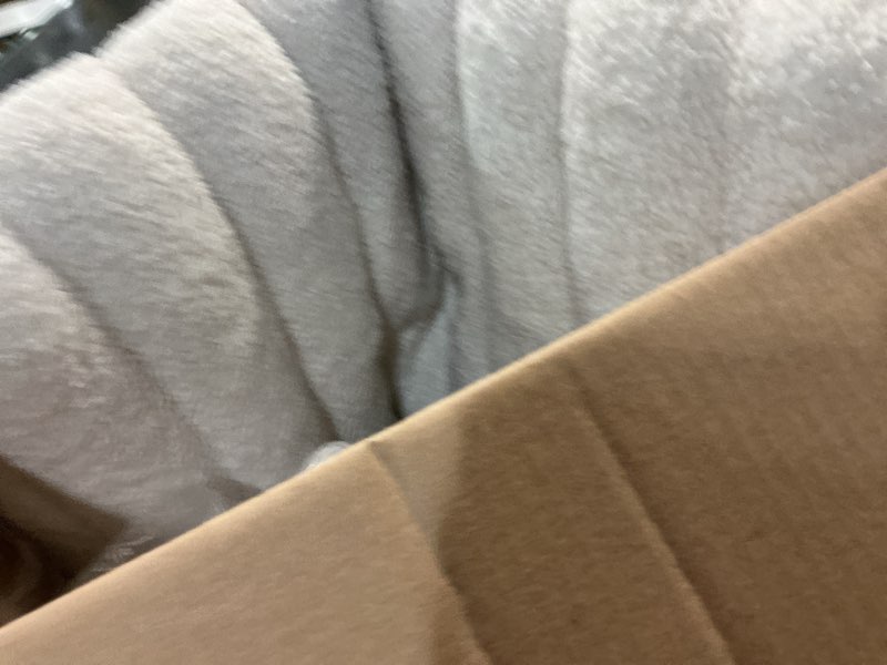 Condition photo showing Good Condition for LE SURE Cute Orthopedic Dog Bed Medium Size Dog, Waterproof Chic Flat Pet Beds with Removable Washable Cover, Fuzzy Thick Egg Crate Foam Pet Mat for Indoor Use (30" x 20", Cream) 30"L x 20"W x 4"Th Cream