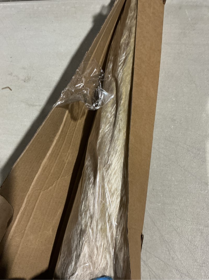 Condition photo showing As Is for 46" inch 10 stems natural pampas grass decor tall, pompas grass, tall pampas grass for weddingm, farmhouse, boho home decor (beige)