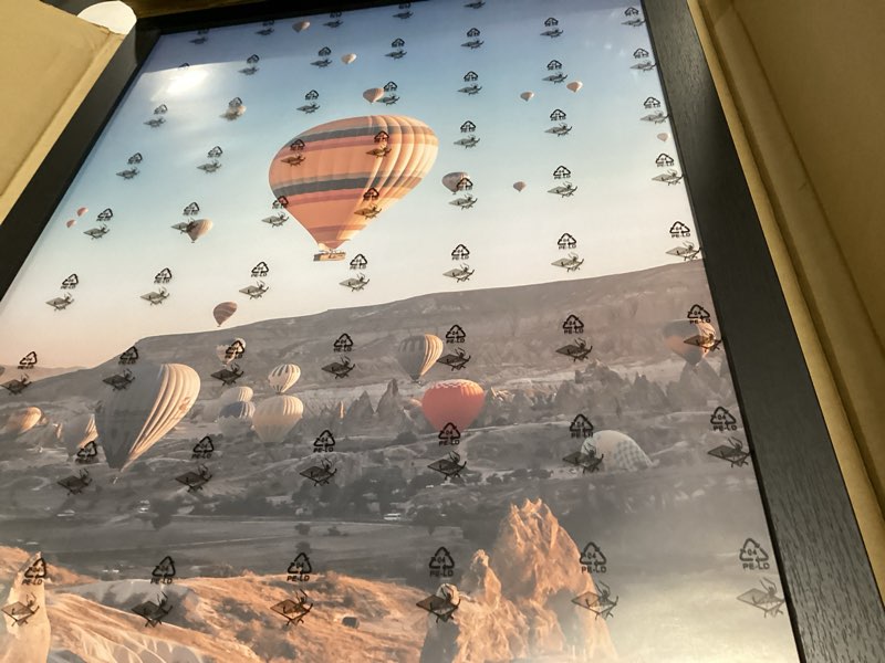 https://lotting-media.assets.bidfta.com/lotting_6f5d515e-90bc-4fc5-82c9-ad9f73764b24