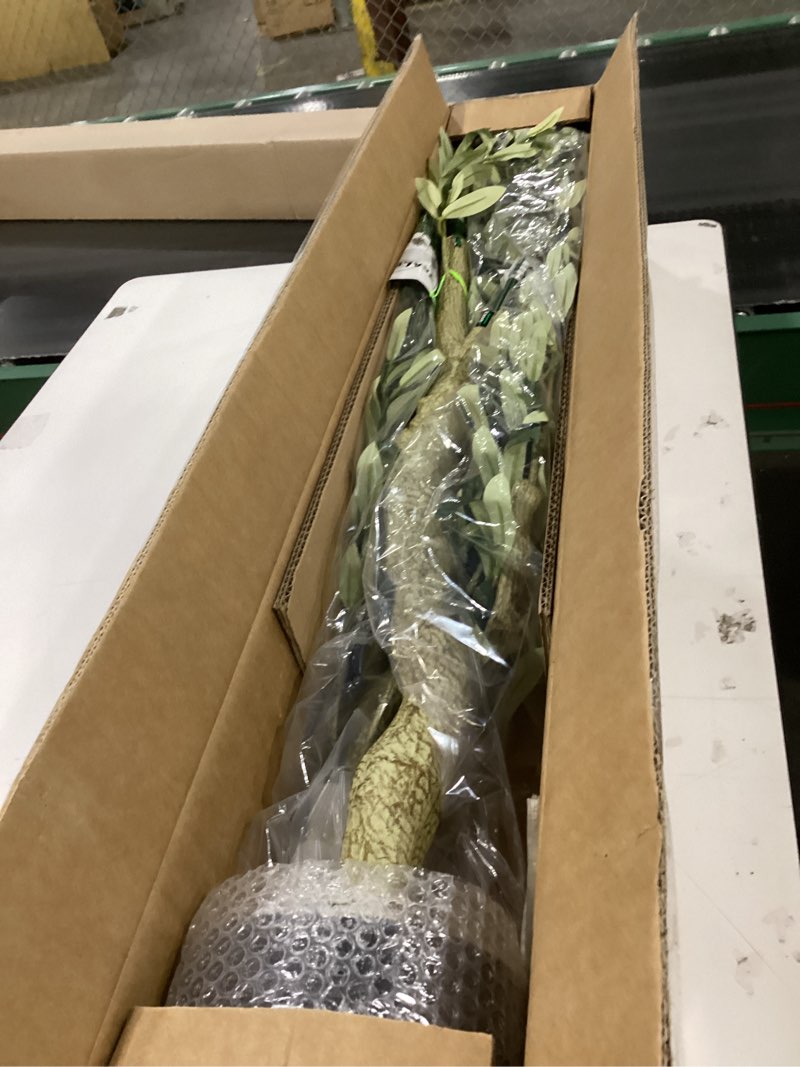 Condition photo showing New/Like New for Realead 6ft Faux Olive Tree, Tall Olive Tree Plants, Fake Potted Olive Silk Tree, Artificial Olive Trees for Modern Home Office Living Room Floor Decor Indoor