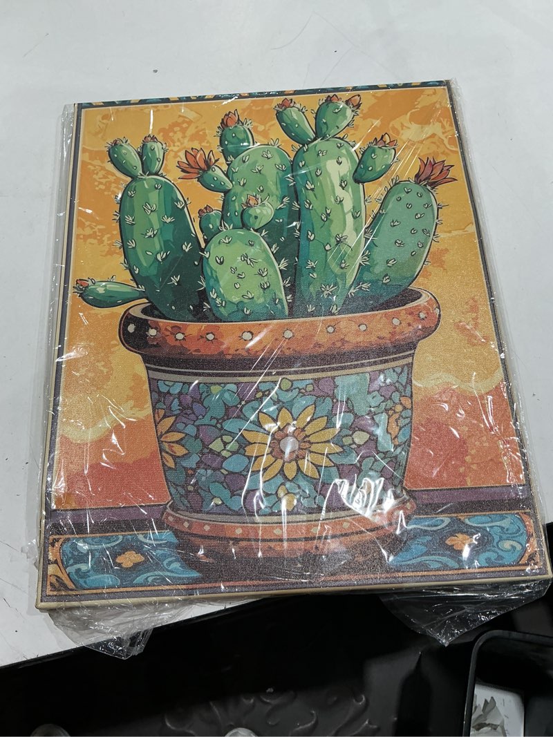 Condition photo showing As Is for oaapiti cactus canvas wall art bohemian succulent painting print rustic plants pictures modern artwork for living room bathroom home wall decor(artwork-2,16"x20") cactus-2 16"x20"