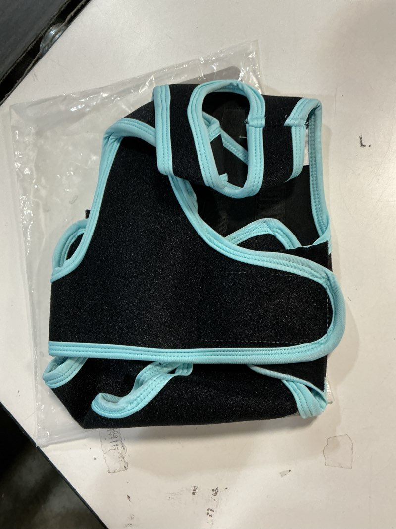 Condition photo showing Good Condition for LETSQK Dog Back Brace for Dogs,Breathable Post-Operative Vest,Surgical Recovery and Rehabilitation,Dog Spine Support and Pain Relief,Pet Back Bracer for IVDD Arthritis with Harness.Black M M BLACK