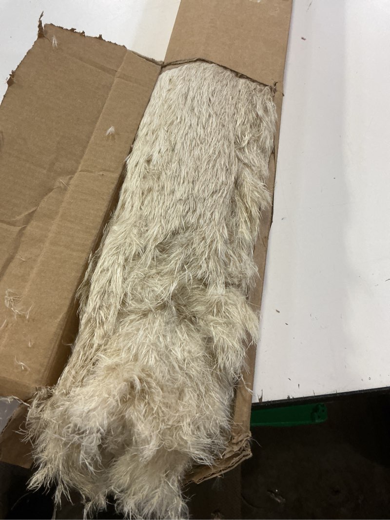 Condition photo showing Good Condition for 20 stems 40" tall natural dried pampas grass decor, large tall beige pampas for floor vase, arch, farmhouse, wedding, party, boho home decor christmas