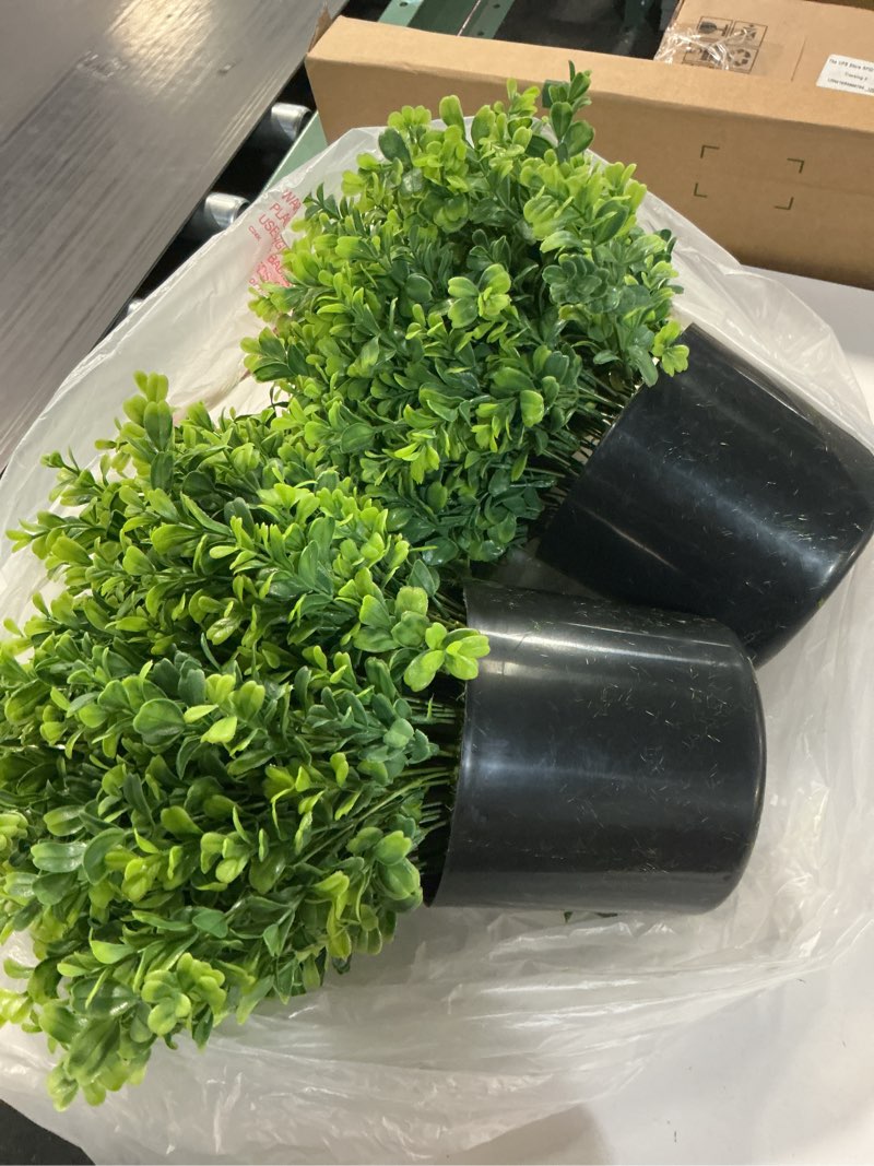 Condition photo showing As Is for Set of 2 Artificial Boxwood Topiary Trees for Front Door - Faux Realistic Greenery Potted Plants, Fake Outdoor UV-Resistant Bushes with Pots for Porch,Farmhouse,Home,Garden Decor