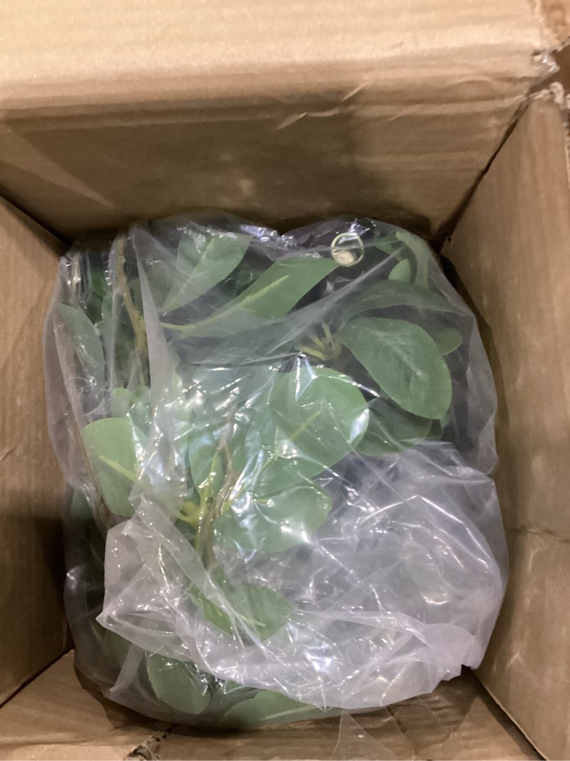 Condition photo showing Good Condition for Faux Black Olive Tree 7ft, Artificial Shady Lady Tree with Natural Trunk and Realistic Leaves, 7 Feet Faux Olive Plants for Home Office Indoor Decor Pack of 1