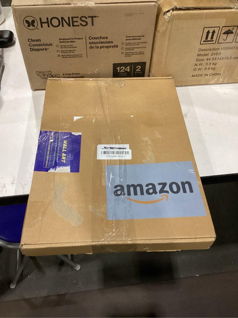 Condition photo showing Good Condition for 2Pcs Framed Black and White Flower Abstract Wall Art Modern Neutral Canvas Prints Posters Pictures G