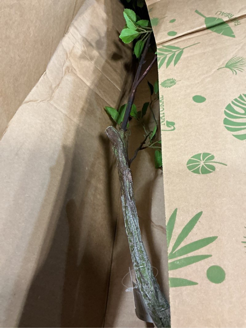 Condition photo showing As Is for minimalist citrus artificial tree, 5'
