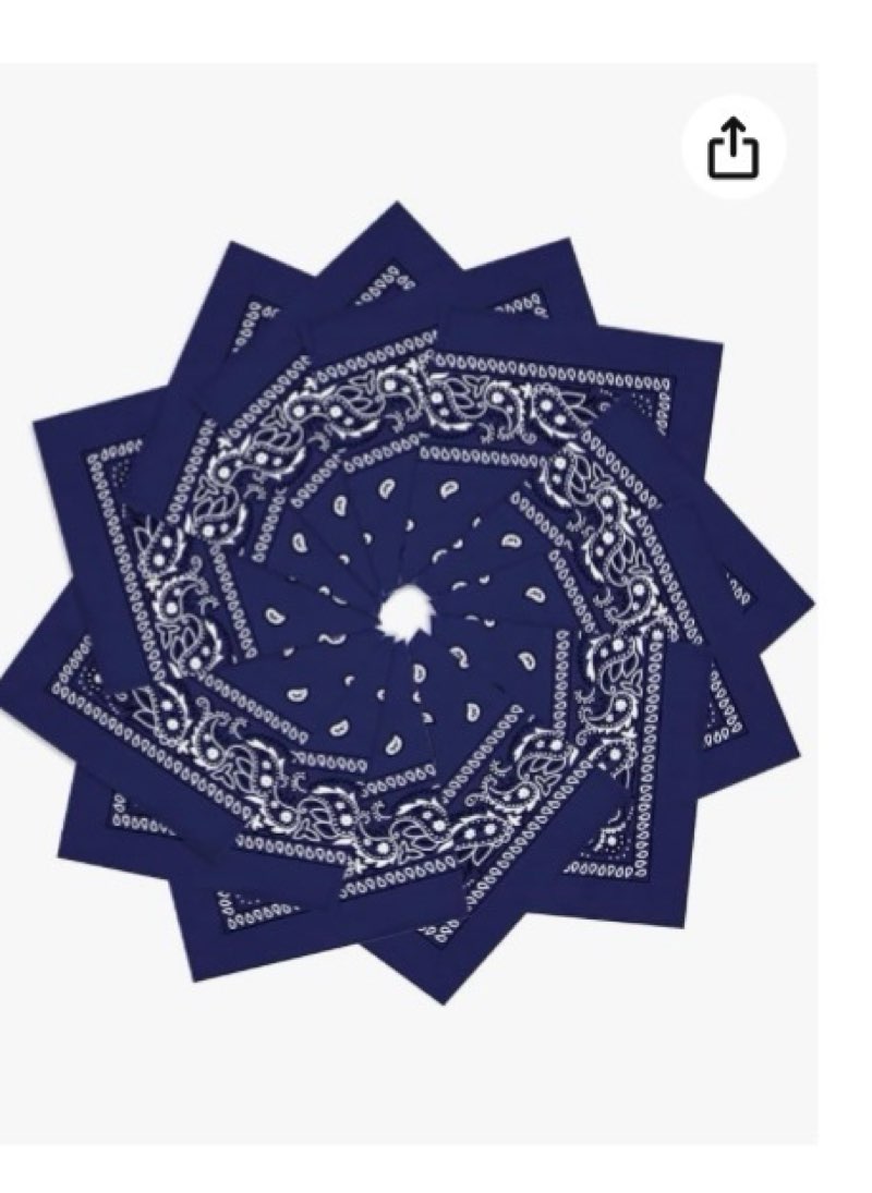 ILHSTY 32 Pcs Women Men Paisley Bandanas Bulk Unisex Cowboy Bandanas Head Scarf Necktie Face Cover P