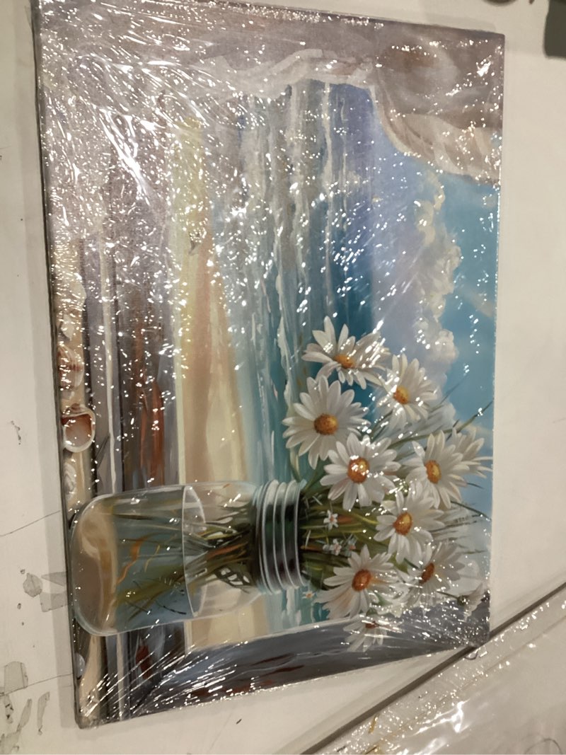 Condition photo showing New/Like New for TIEHAOMAI Coastal Flowers Canvas Wall Art Blue Beach Pictures Sea Landscape Poster White Daisy Prints for Dining Room Decor?Floral-3,16x24inch (40x60cm) Floral-3 16"L x 24"W