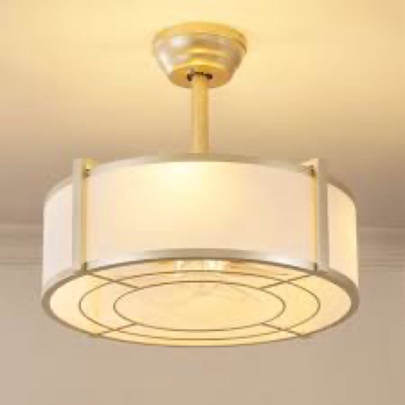 19'' modern ceiling fan with light