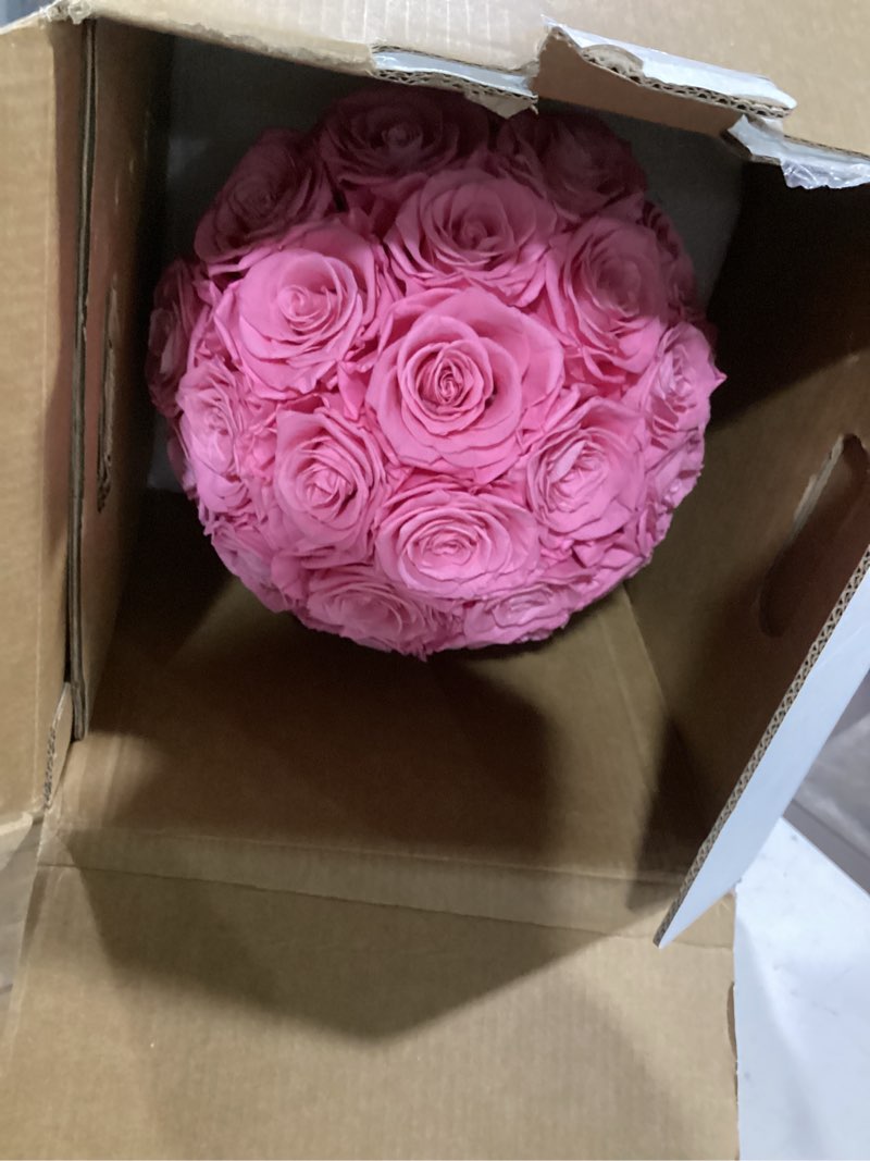 Condition photo showing Good Condition for 27 preserved flowers for delivery prime, roses dome forever flower decor for party home table bedroom, anniversary, birthday, wedding gifts for women her (pink) pink-dome 27 roses dome