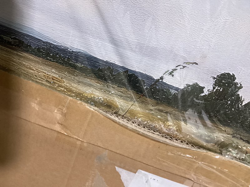 insimsea extra large framed vintage wall art, living room country farmhouse decor, wildflower meadow