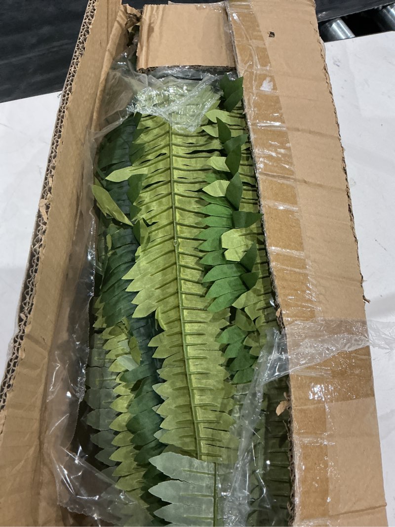 Condition photo showing Good Condition for (one)ashland boston fern bush fern collection