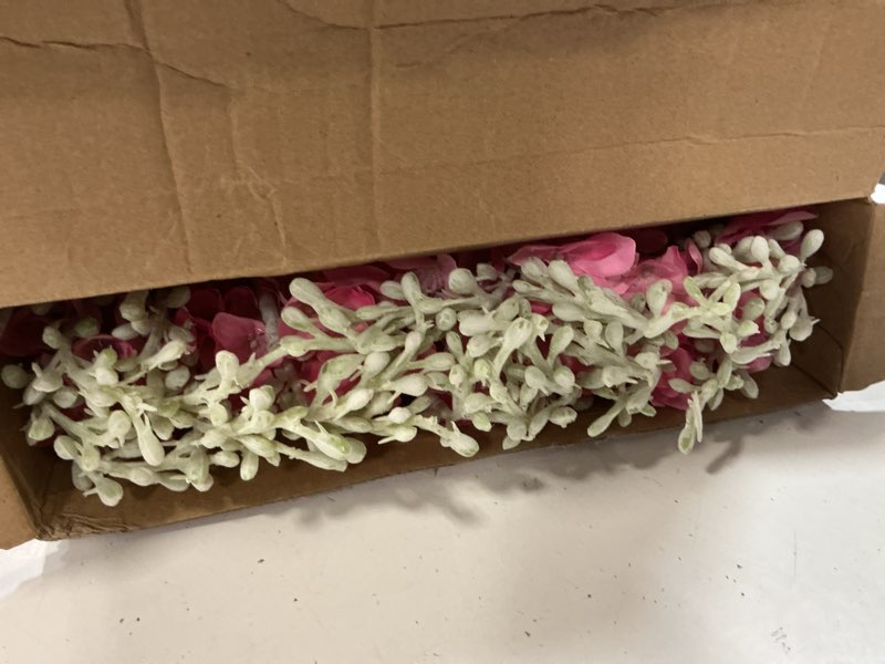 Condition photo showing As Is for thiccywoov 24 pcs delphinium artificial flower 35.4'' long larkspur stem silk fake faux flowers bulk for tall vase floral arrangements home centerpiece table wedding decor (rose red) rose red 24