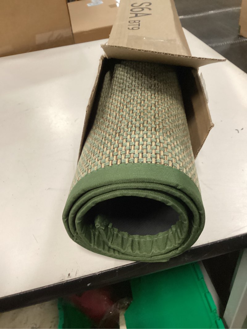 Condition photo showing New/Like New for dexi ultra thin entryway indoor door mat 32x48, non slip rubber backing inside entry mat, low profile easy clean dirt trapper doormat for inside entrance patio, green 2'8" x 4' (rectangular) green